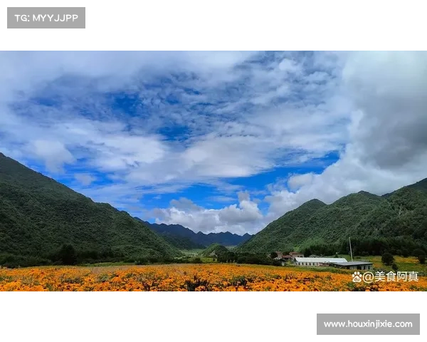 夏日畅游指南:解锁巫溪清凉一夏的正确姿势 夏日畅游指南:解锁巫溪清凉一夏的正确姿势